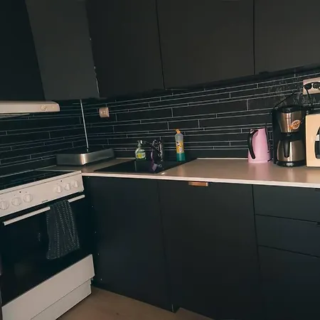 Beautiful In Apartment Tromso